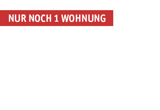 banderole_nurnoch1wohnung