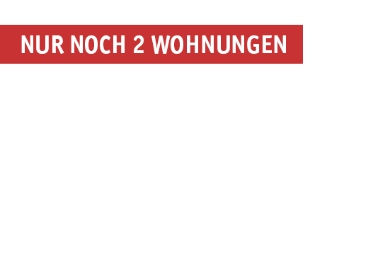 banderole_nurnoch2wohnungen